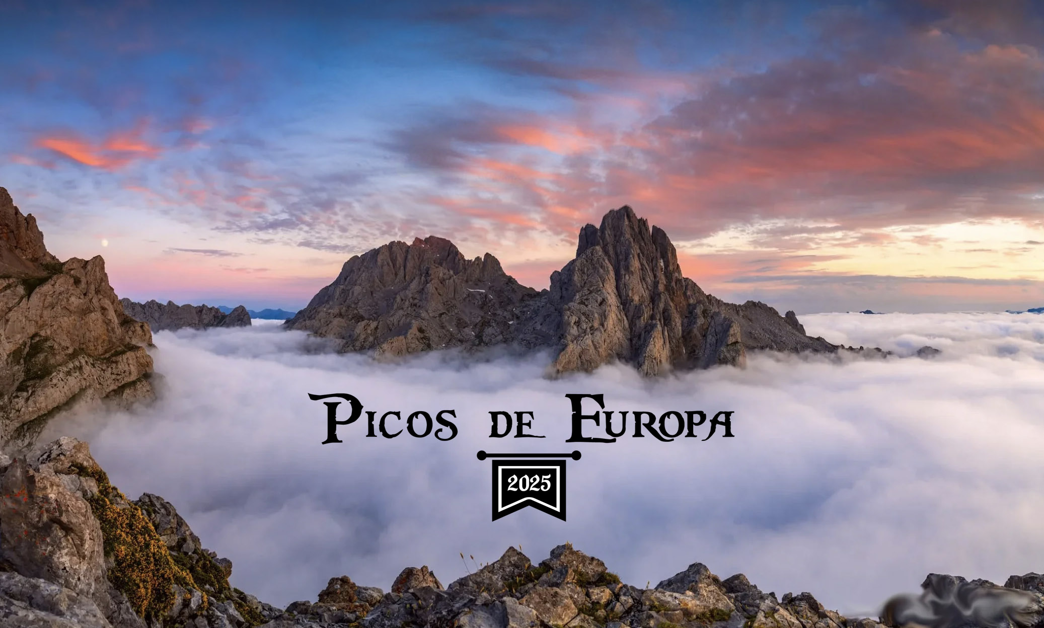 Picos de Europa
